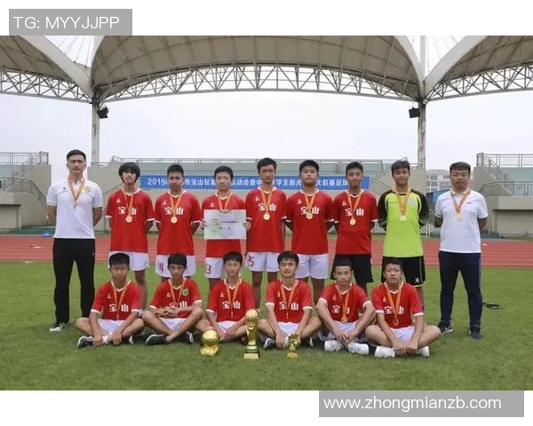 上海足球队个人能力分析与战术配合的深度探讨