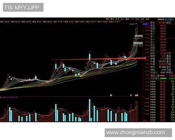 南京排球队精英赛征程揭秘:从挑战到辉煌的突破之路 南京排球队精英赛征程揭秘:从挑战到辉煌的突破之路