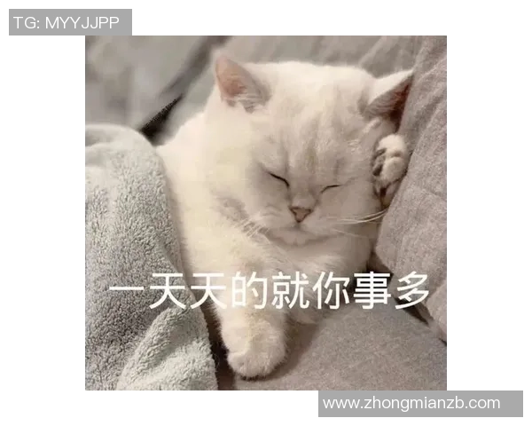 足球明星表情包与玫瑰花的完美结合展现独特魅力与情感表达 足球明星表情包与玫瑰花的完美结合展现独特魅力与情感表达