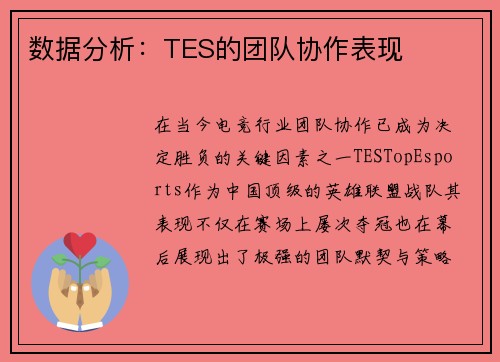 数据分析：TES的团队协作表现