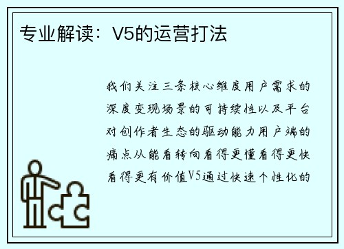 专业解读：V5的运营打法