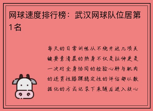 网球速度排行榜：武汉网球队位居第1名
